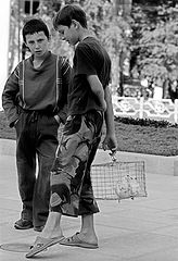 photo "bird-catchers"
