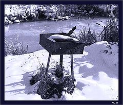 photo "Memoirs on summer"
