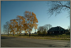 photo "At autumn road"