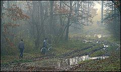 фото "autumn view"