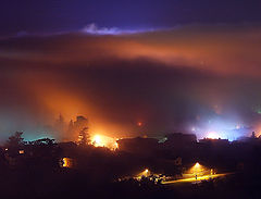 photo "In the fog"