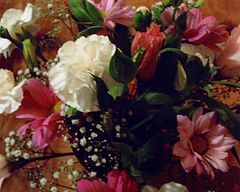 фото ""Flower Bowl""