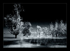фото "Mystic Reflections"