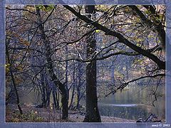 photo "Autumn landscape"