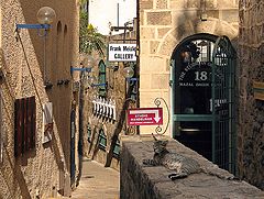 photo "Jaffa"