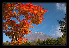 photo "Autumn Colors"