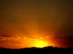 фото "Arizona"