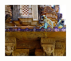 фото "adventure at monkey's town"