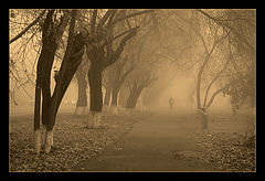 photo "Outbound autumn"