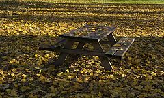 фото "Fall is here"