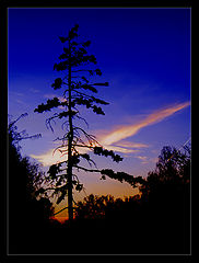 photo "Untitled photo"