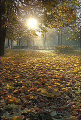 photo "Autumn"