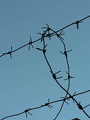 photo "Zone"