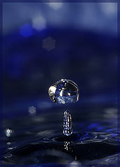 photo "* * *"