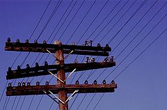 photo "Downtown 5"
