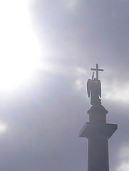 фото "Ангел"
