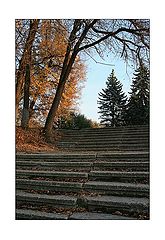 photo "Late autumn"
