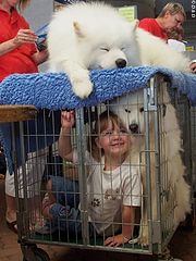 фото "Amy & Samoyed at the Pet Expo"