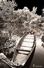 фото "in the river"