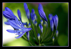 photo "Welcoming The New Day"