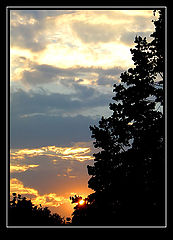 фото "Sunset"