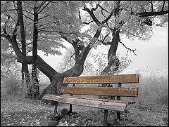 photo "ZX 9"