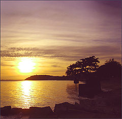 фото "Landscape"