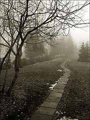 photo "***"