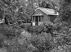 photo "An old woman's house in the forest"