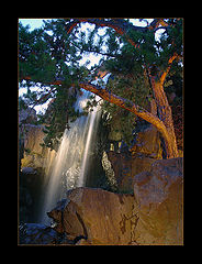 photo "***"