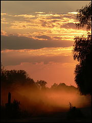 photo "***"