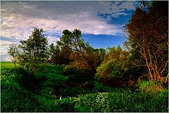 photo "Decline on a small bog"