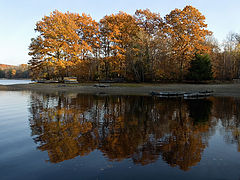 фото "Fall'sColor"