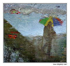 photo "descending with rain"