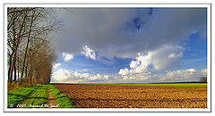 photo "***"