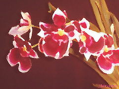 photo "Flower's paint"