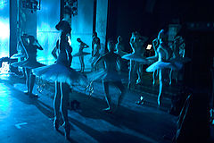 photo "Swan's backstage"