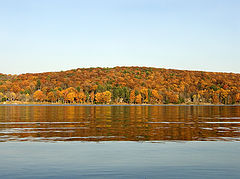 фото "Fall's Color"
