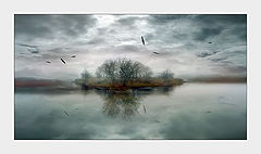 photo "The Island"