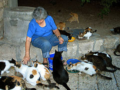 photo "inhabitants of the Jaffo"