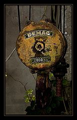 photo "Damac 2000"
