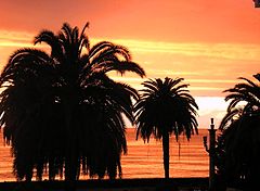 photo "Paradise"