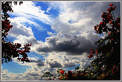 photo "***"