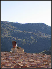 фото "Chimene2"