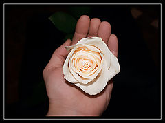 photo "***"