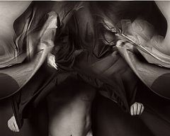 фото "The  Covering 3"