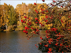 photo "***"