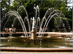 photo "***"