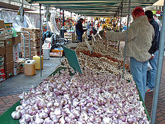 photo "Garlic"