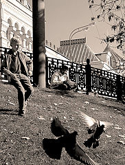 photo "instincts"